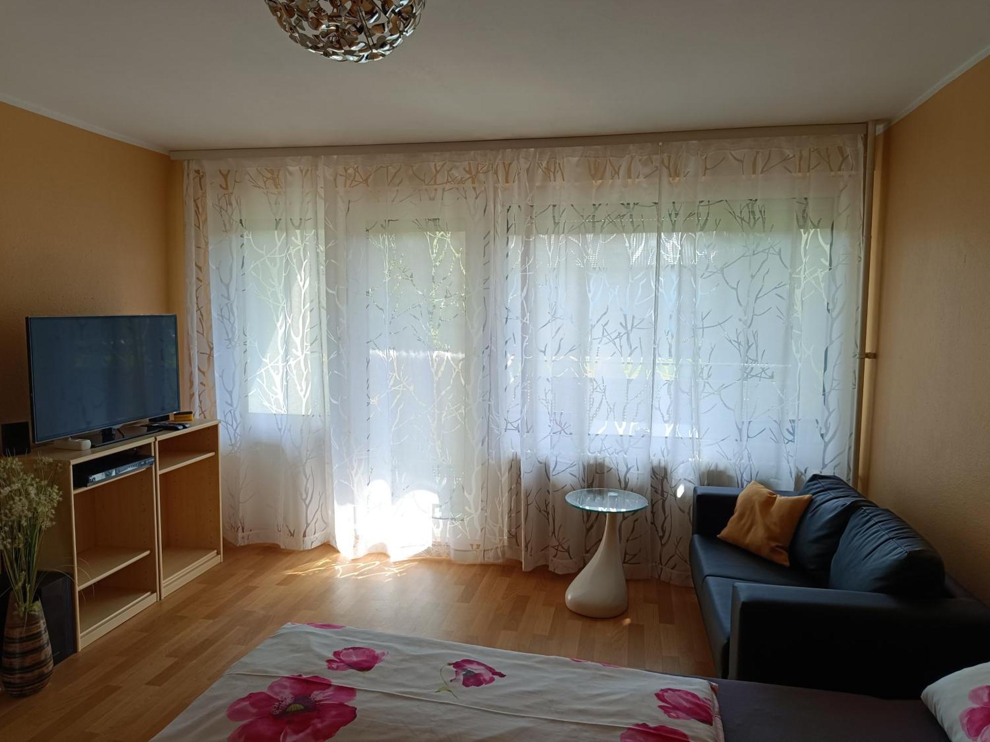 Offenburg Apartment Kültér fotó